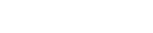 visitflorida icon