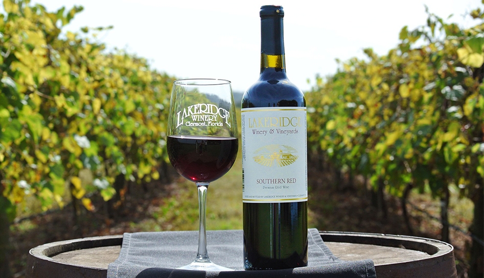 Daytime outdoor photo of wine glass (left) that reads 