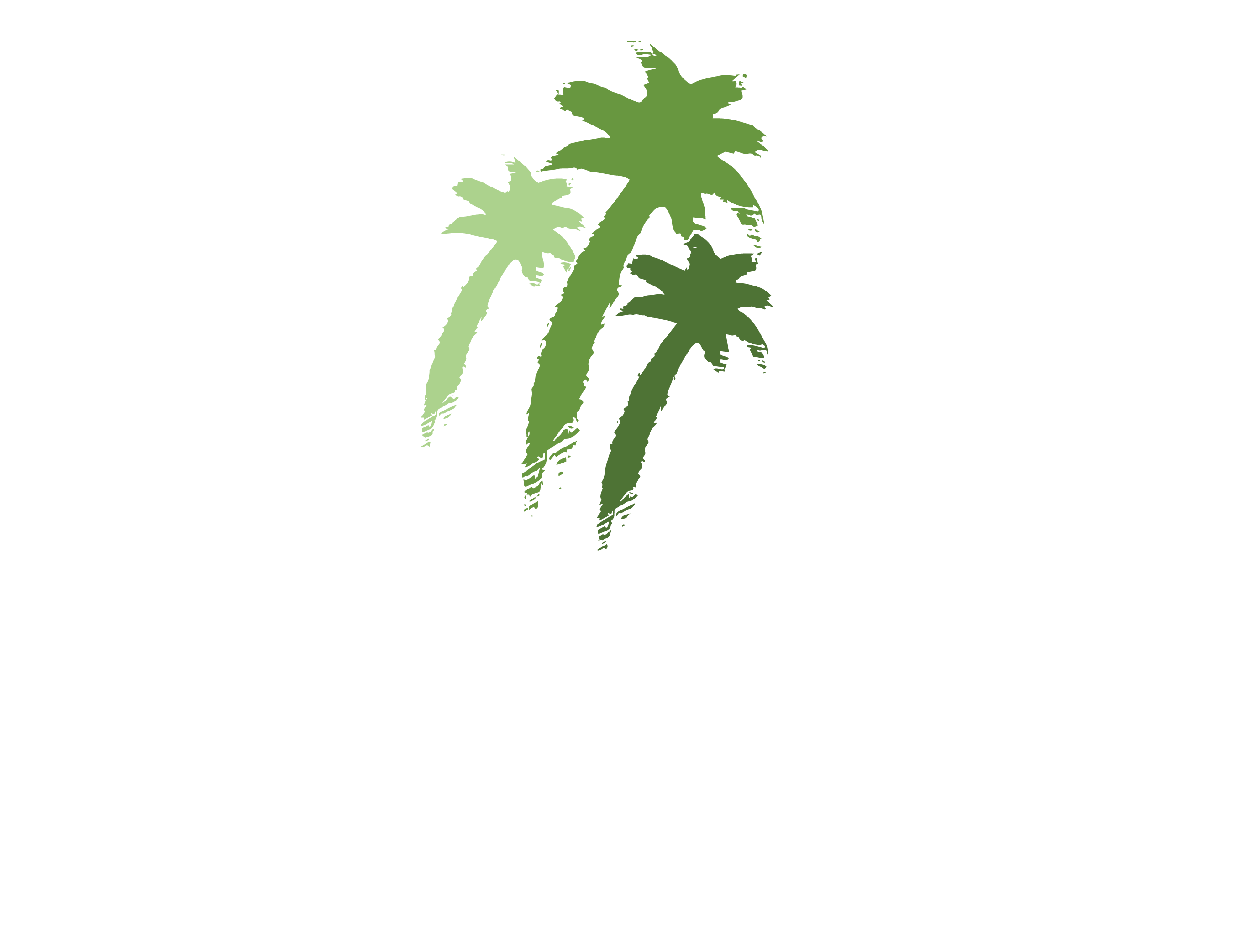 magicalvacationhomes icon