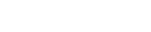visitflorida icon