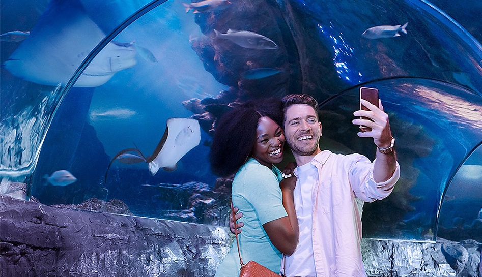 Female (left) side-hugs male (right) as he holds his phone to take a selfie together inside of an aquarium tunnel at Sea Life Aquarium. Orlando, Florida.