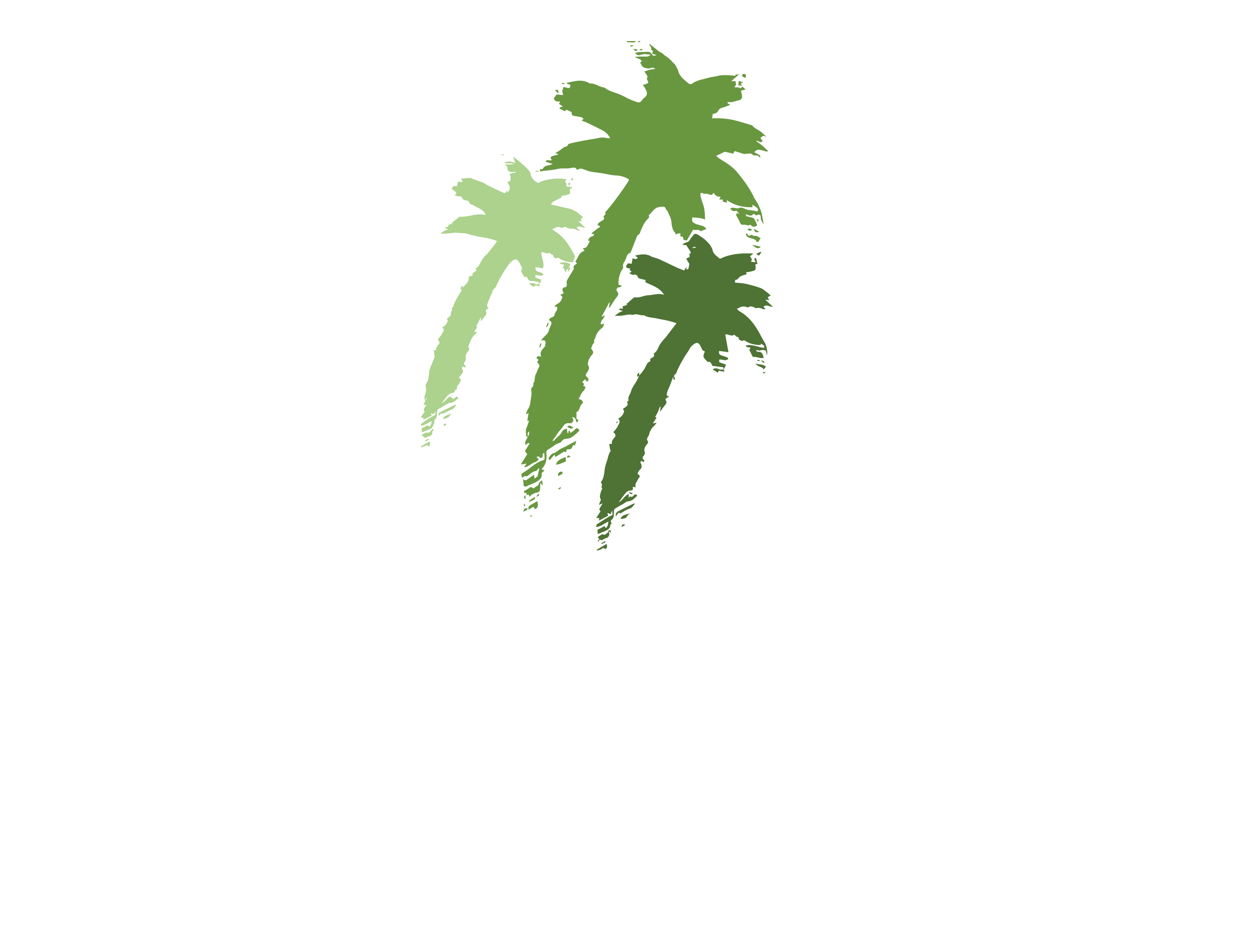 magicalvacationhomes icon